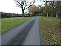 TQ1035 : Bridleway between Bury St Austen's and Bury St Austen's Farm by Dave Spicer