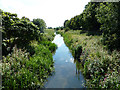 Horncastle Navigation Canal