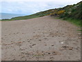 Field, Ceredigion Coastal Path