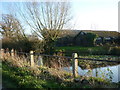 A pond at Pool Farm