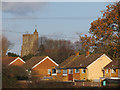 Houses on Hammer Way