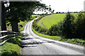 Lane near Waters Down Farm