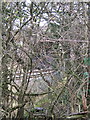 Railway, fence and bridge seen through thicket