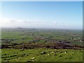 A view of Sedgemoor