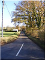 The road to Chippenhall Green