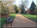 Path in University Parks, Oxford