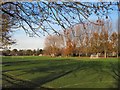 SU8504 : Prebendal school grounds, Chichester by Paul Gillett