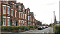 Ardlee Avenue, Holywood (1)