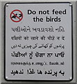 Multilingual "Do not feed the birds" sign on canal bridge