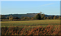 2011 : Across the Vale of Pewsey from the B3087