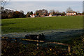 Field between Vicarage Lane and Hammond