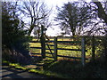 TM2577 : Footpath to North Lane by Geographer