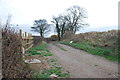 Farm access track near Dordon