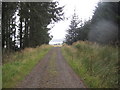 NY6985 : Forest Track leading to Elf Kirk Car Park by Les Hull