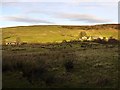 Whiskershiel Farm below Landshot Hill