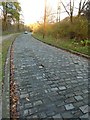 Stone sett section of Waggon Road