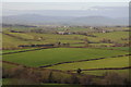 SO4604 : Monmouthshire farmland by Philip Halling