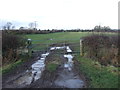 Field entrance off Ness Lane