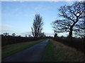 Ness Lane towards Mill Farm