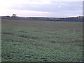 Farmland near Bickerton