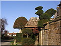 Topiary, Springfield Lane, Broadway