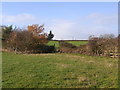 Path crosses corner of field