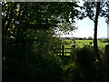 Footpath to Rhuddlan