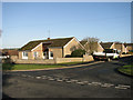 Bungalows in Lingheath Road, Brandon