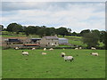 Pastures and woodland around Hackford