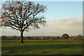 Lowland in central Staffordshire