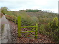 View over the Lyd valley