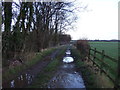 SE4547 : Track to Walton Wood by JThomas