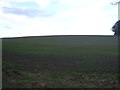 Farmland near Healaugh Grange