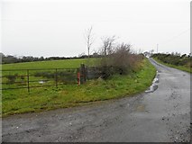 H4760 : Raneese Road, Derrybard by Kenneth  Allen