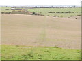 Footpath across a field leading to Brimmers Road