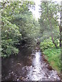 Rowley Burn downstream of the bridge at Dye House