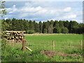 NY9458 : Pastures and woodland east of Juniper by Mike Quinn