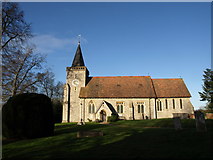 TQ3859 : St Leonard's Church, Chelsham by Derek Harper