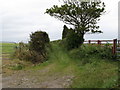 Private farm lane leading south from the Point Road