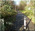 Footpath and cycle route using former railway tracked near Nantgarw