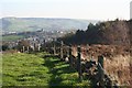 Above Roe Cross