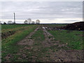 Public footpath off Eagle Moor (road)