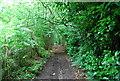 Bridleway off Haslemere Rd