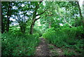 Bridleway heading east