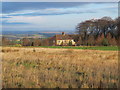 Countryside near Colpitts Grange