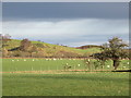 Farmland north of Woodnook Hill