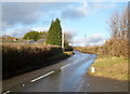 Country lane north of Gelli-fach Farm near Henllys