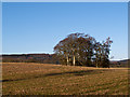 Farmland near Farkhill