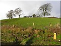 Fields behind Fintona