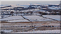 NS3556 : Winter Woodside Meadows by wfmillar